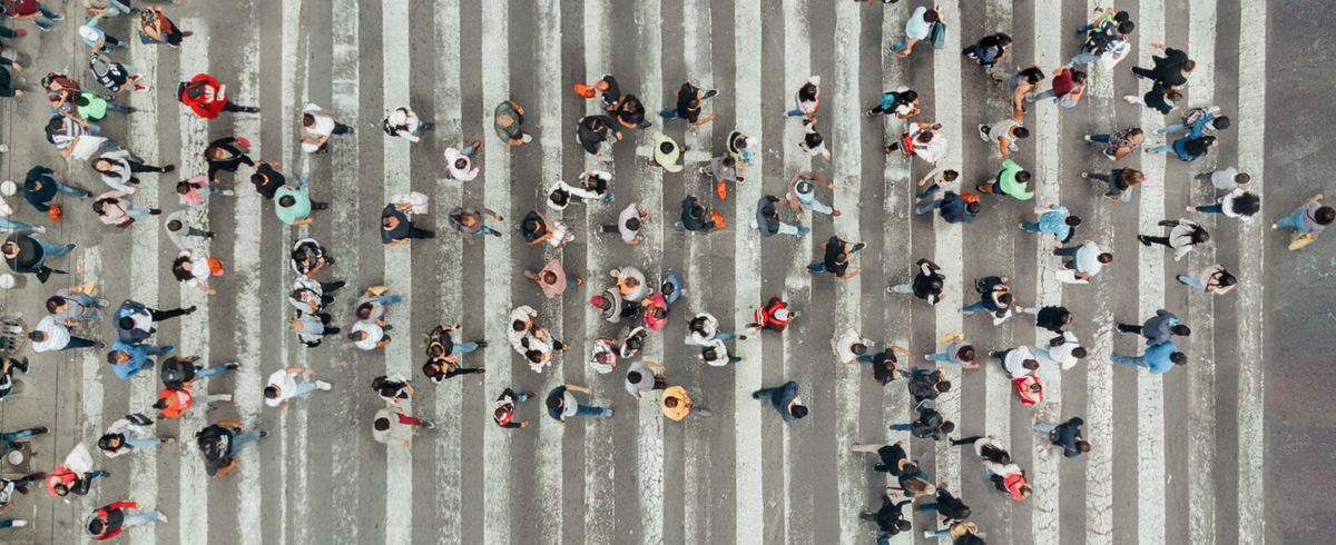 overhead view of people in a crosswalk